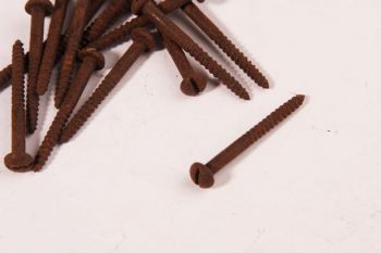 Schroeven bolkop 3.0 x 30mm roest gleuf 100 stuks